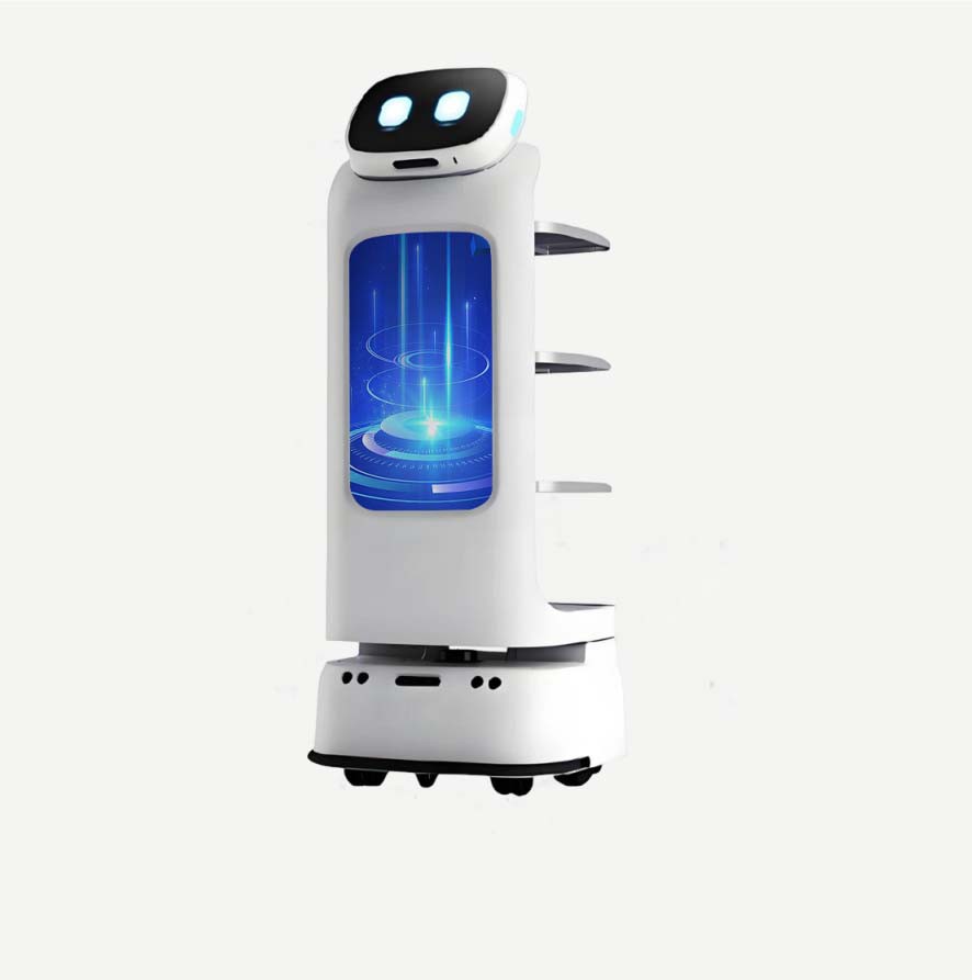 Robot Gwasanaeth Masnachol