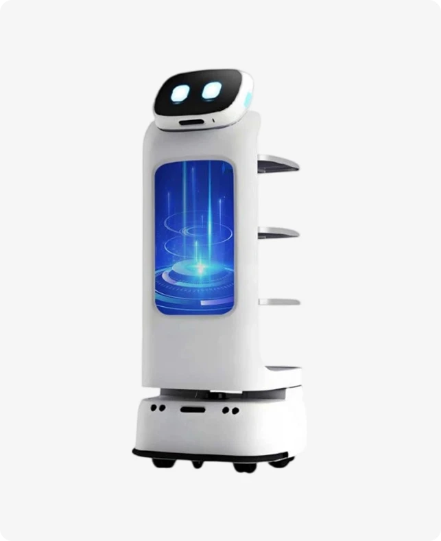 Robot Gwasanaeth Masnachol